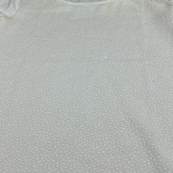 Ann Taylor womans medium cream colored pebbled short sleeve top - Picture 5 of 7